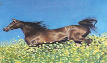 Horse Times Egypt: Equestrian Magazine :Articles :ART: SIHAM MOHARRAM