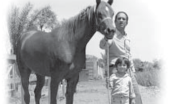 Horse Times Egypt: Equestrian Magazine :Articles :Badrawi Stables - What Once Was Still Is!