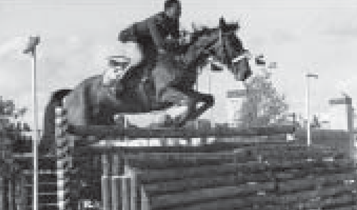 Horse Times Egypt: Equestrian Magazine :Articles :A complete profile on Omar El Haddary