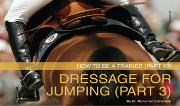 Horse Times Egypt: Equestrian Magazine :Articles :How To Be A Trainer Part 13 Dressage For Jumping Part 3