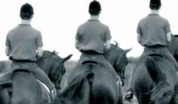 Horse Times Egypt: Equestrian Magazine :Articles :How To Be A Trainer (Part 18) Dressage For Jumping (Part 8)