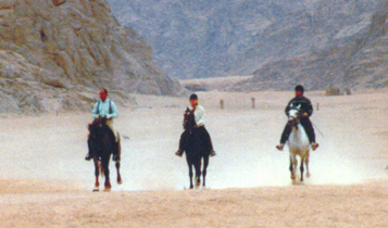 Horse Times Egypt: Equestrian Magazine :Articles :Sofitel Equestrian Center