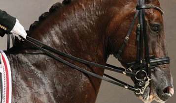 Horse Times Egypt: Equestrian Magazine :Articles :THE ART OF CLASSICAL DRESSAGE:   IMPULSION