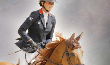 Horse Times Egypt: Equestrian Magazine :Articles :TRAINING TIPS - AS A HORSE SEES IT