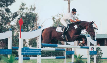Horse Times Egypt: Equestrian Magazine :Articles :The American Hunter Class