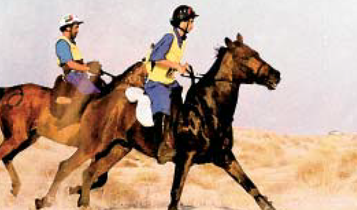 Horse Times Egypt: Equestrian Magazine :Articles :The First Endurance Event in Egypt