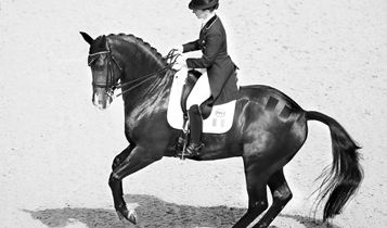 Horse Times Egypt: Equestrian Magazine :Articles :THE ART OF CLASSICAL DRESSAGE RIDING SUPPLENESS
