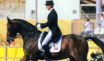 Horse Times Egypt: Equestrian Magazine :Articles :Transitions in Dressage