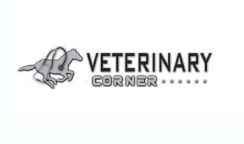 Horse Times Egypt: Equestrian Magazine :Articles :Vet Corner Laminitis (Part 2)