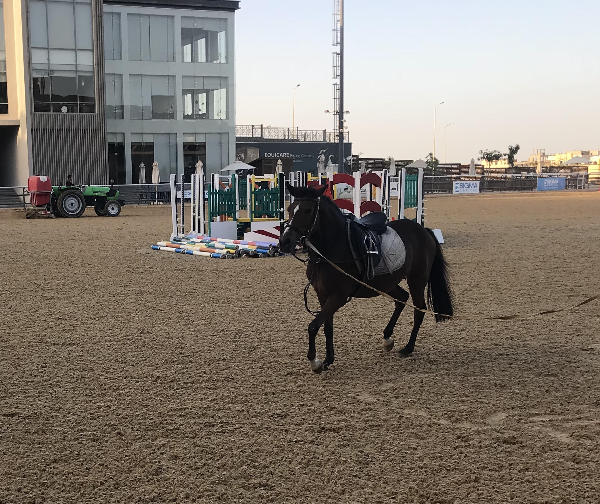 Horse Times Egypt: Equestrian Magazine :HorseTimes Blog :ALL YOU NEED TO KNOW ABOUT EQUICARE'S 