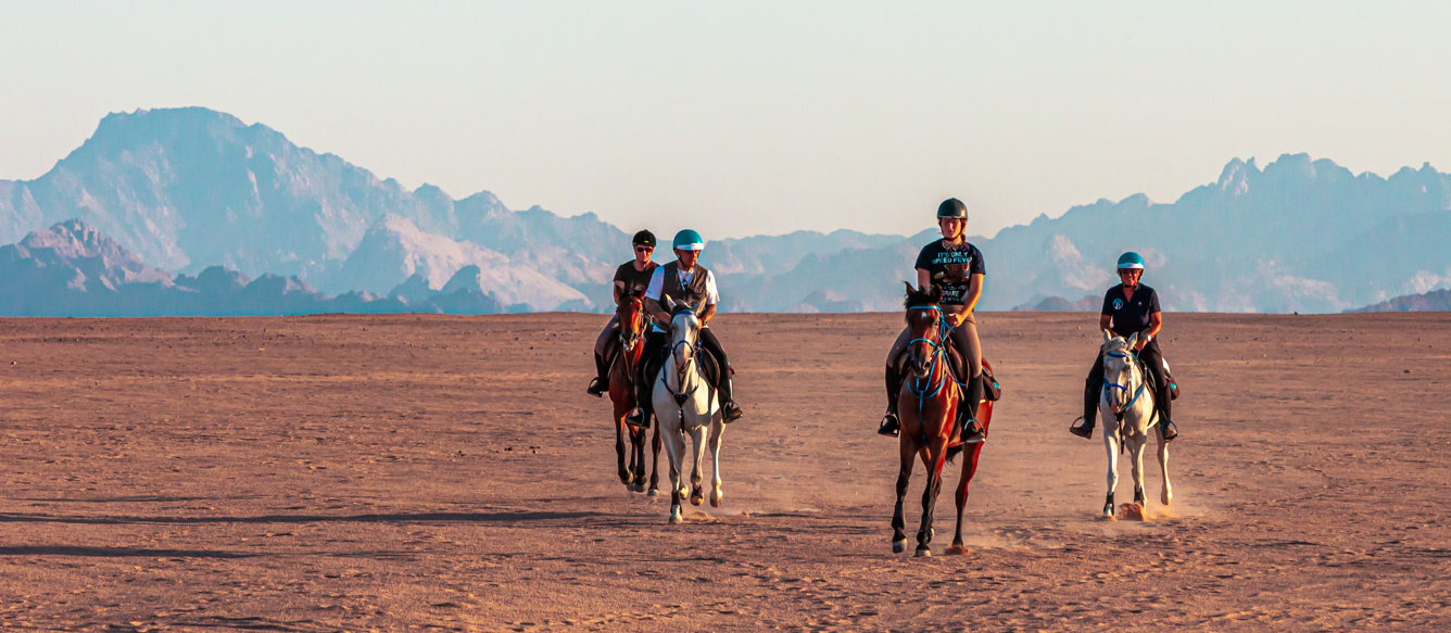 Horse Times Egypt: Equestrian Magazine :News :FROM RAILS TO RED SEA: GUENDA GALIMBERTI’S JOURNEY OF LISTENING