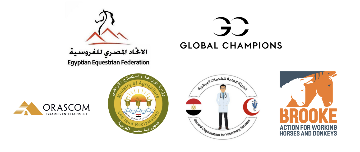 Horse Times Egypt: Equestrian Magazine :News :FIVE-YEAR EQUINE WELFARE INITIATIVE ANNOUNCED TO IMPROVE CONDITIONS FOR WORKING HORSES IN GIZA, EGYPT