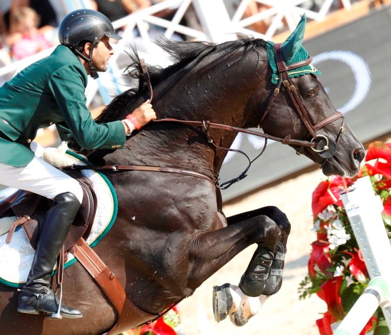 Horse Times Egypt: Equestrian Magazine :News :KHALED AL EID & ABDULLAH AL SHARBATLY: QUESTIONS RAISED REGARDING THE CAS AWARD IN THEIR APPEAL