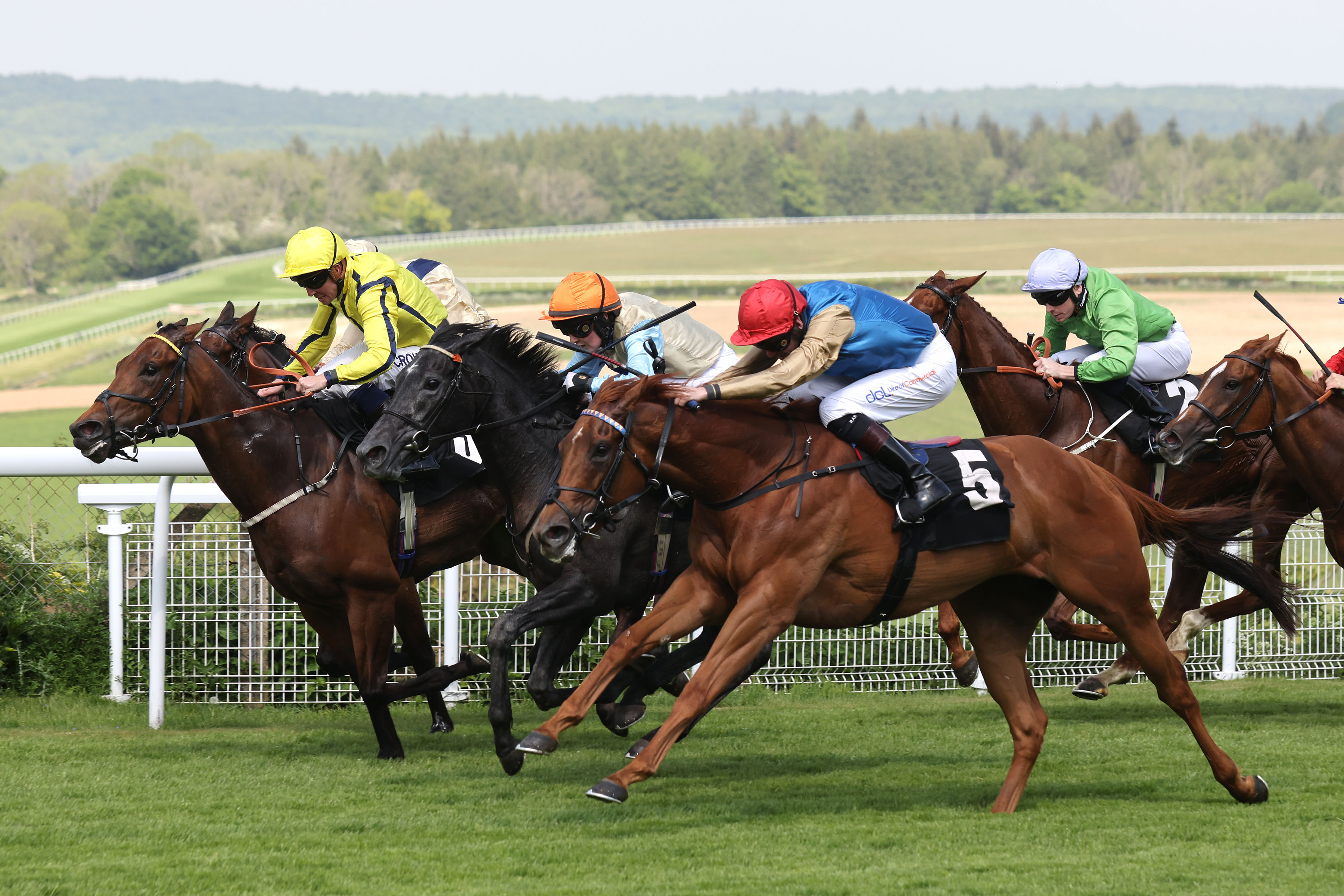 Horse Times Egypt: Equestrian Magazine :News :CLASSIC CONQUERORS & GROUP 1 STARS HEADLINE ENTRIES FOR QATAR GOODWOOD FESTIVAL PRESENTED BY VISIT QATAR