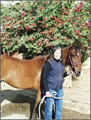 HorseTimes: Senior Editor: Bridget McArdle Mckinney