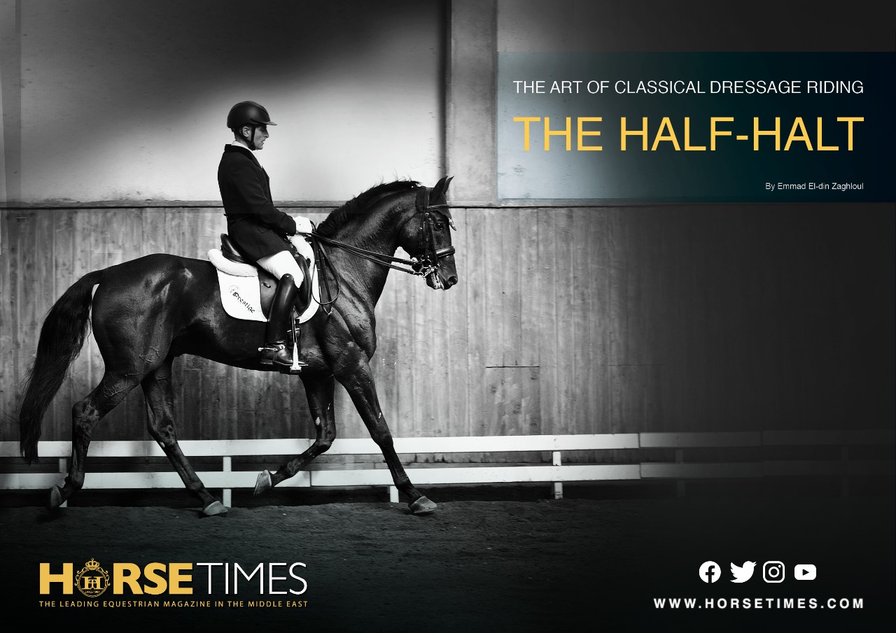 Horse Times Egypt: Equestrian Magazine :Articles :DRESSAGE WITH EMMAD ZAGHLOUL THE HALF-HALT