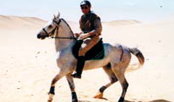 Horse Times Egypt: Equestrian Magazine :Articles :100 K Endurance Race in the Egyptian Desert