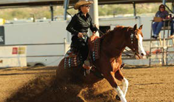 Horse Times Egypt: Equestrian Magazine :Articles :2016 SCOTTSDALE ARHA REINING FUTURITY SUCCESS