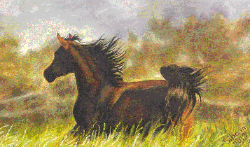 Horse Times Egypt: Equestrian Magazine :Articles :ART BY SIHAM MOHARRAM