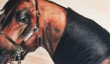 Horse Times Egypt: Equestrian Magazine :Articles :ART -SIHAM MOHARRAM
