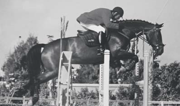 Horse Times Egypt: Equestrian Magazine :Articles :A MARE IN SEARCH OF HER PREVIOUS OWNER: FINDING SUZANNE