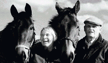 Horse Times Egypt: Equestrian Magazine :Articles :A SHOWJUMPER FOR THE AGES: HARVEY SMITH