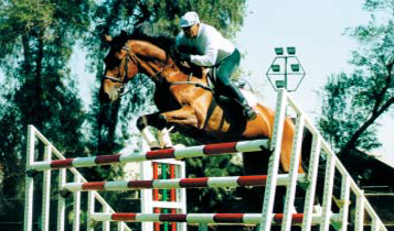 Horse Times Egypt: Equestrian Magazine :Articles :A True Horseman