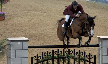 Horse Times Egypt: Equestrian Magazine :Articles :ALI AL RUMAHI QUEST FOR SUCCESS