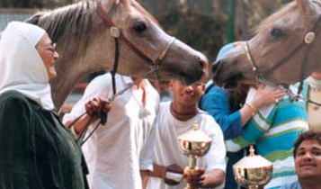 Horse Times Egypt: Equestrian Magazine :Articles :Badrawi Stables