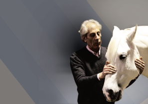 Horse Times Egypt: Equestrian Magazine :Articles :DRESSAGE WITH MANOLO MENDEZ - PART 2

