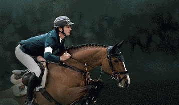 Horse Times Egypt: Equestrian Magazine :Articles :DUTCH MASTERS DEN BOSCH, THE INTERNATIONAL EQUINE LAW CONGRESS 2019