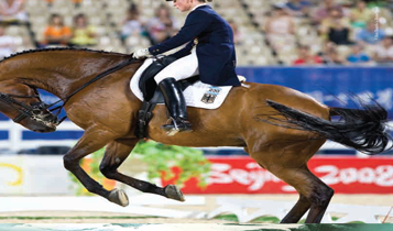 Horse Times Egypt: Equestrian Magazine :Articles :Dressage Judging: How can we make it better?