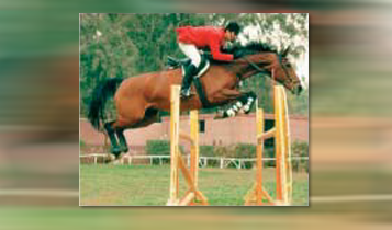 Horse Times Egypt: Equestrian Magazine :Articles :The 1997/98 Egyptian Equestrian Federation Championship Results