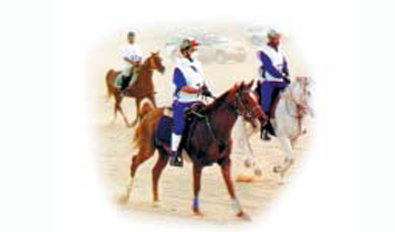 Horse Times Egypt: Equestrian Magazine :Articles :100 K Endurance in The Shadows of The Pyramids of Giza, Dahshour & Sakkara