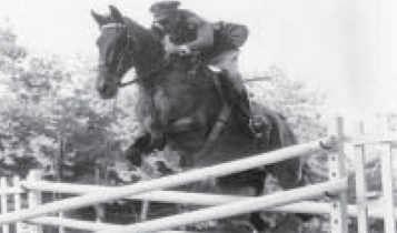 Horse Times Egypt: Equestrian Magazine :Articles :A complete profile on General Elwy Ghazy