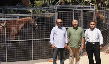 Horse Times Egypt: Equestrian Magazine :Articles :Ferosia Club Between Yesterday & Tomorrow