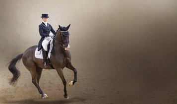 Horse Times Egypt: Equestrian Magazine :Articles :THE ART OF CLASSICAL DRESSAGE RIDING HOW CAN I COMPETE IN DRESSAGE?