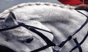 Horse Times Egypt: Equestrian Magazine :Articles :Henry Dallal