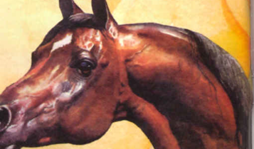 Horse Times Egypt: Equestrian Magazine :Articles :Horses & Art: Abdel Kader Al Saadi