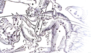 Horse Times Egypt: Equestrian Magazine :Articles :Horses & Celebrities: Hollywod Horse Lovers