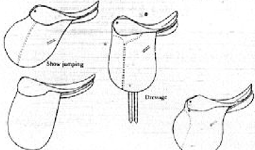 Horse Times Egypt: Equestrian Magazine :Articles :How to Choose the Perfect Horse Saddle
