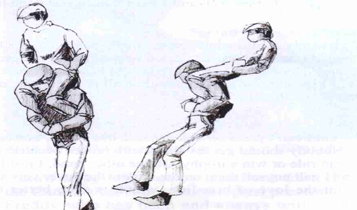 Horse Times Egypt: Equestrian Magazine :Articles :How to be a Trainer (Part 2)