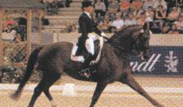 Horse Times Egypt: Equestrian Magazine :Articles :Ina in Osnabruecker Land: First FEI freestyle forum under the Patronage of HRH Princess Benedikte of Denmark