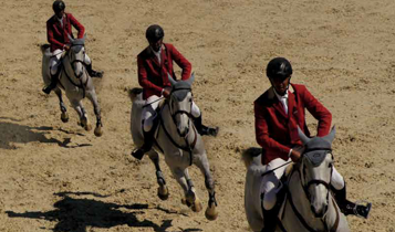 Horse Times Egypt: Equestrian Magazine :Articles :INTERNATIONAL SHOW JUMPING AT THE POLICE ACADEMY CSI*-CAIRO EGYPT ON THE RISE