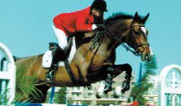 Horse Times Egypt: Equestrian Magazine :Articles :Jumping International Syria