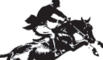 Horse Times Egypt: Equestrian Magazine :Articles :Jumping Tips