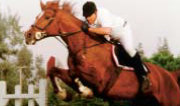 Horse Times Egypt: Equestrian Magazine :Articles :Jumping Tips from Gen. Gamal Hares