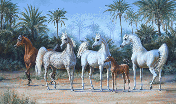 Horse Times Egypt: Equestrian Magazine :Articles :MARIAN DUNCAN WITH HORSETIMES