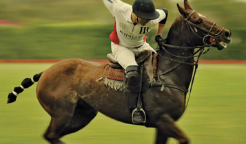 Horse Times Egypt: Equestrian Magazine :Articles :MASHOMACK POLO VS. TEAM EGYPT - A THRILLING REMATCH AT ABU SIR
