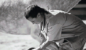 Horse Times Egypt: Equestrian Magazine :Articles :MEDICAL TIPS BY DR DAVID RAMEY